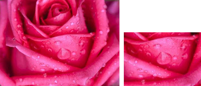 理光2000復印機 高質量畫質